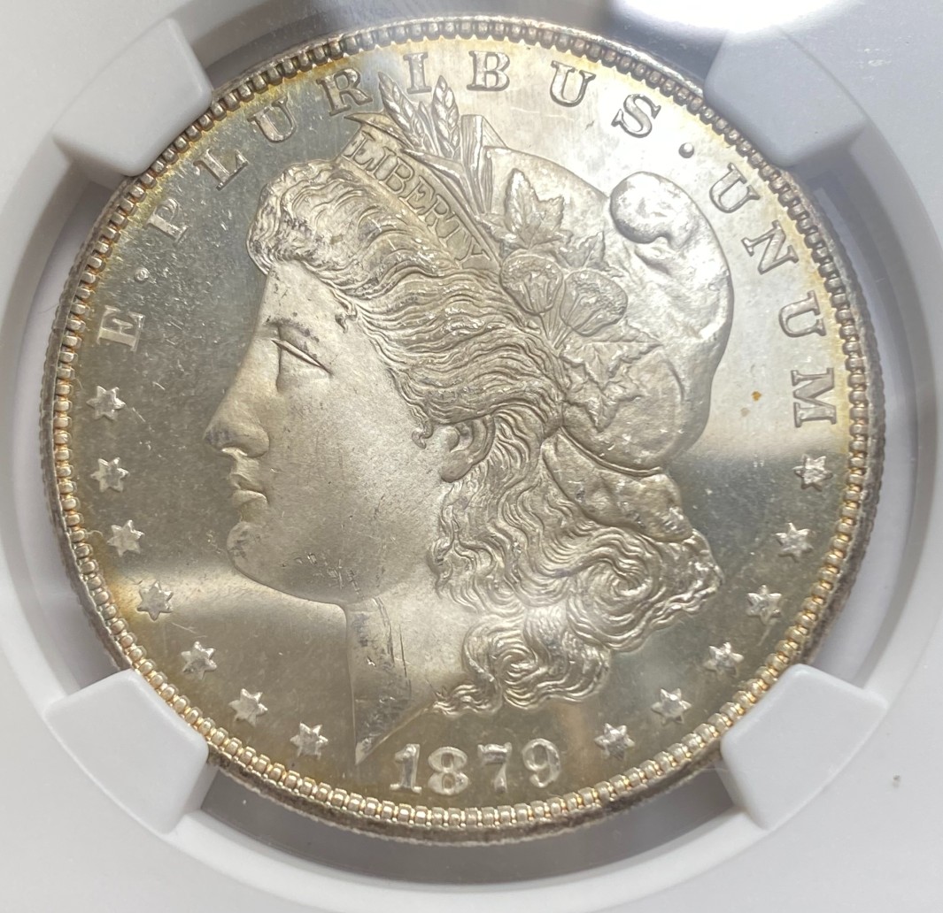1879-S-Morgan.-You-Vs.-NGC!