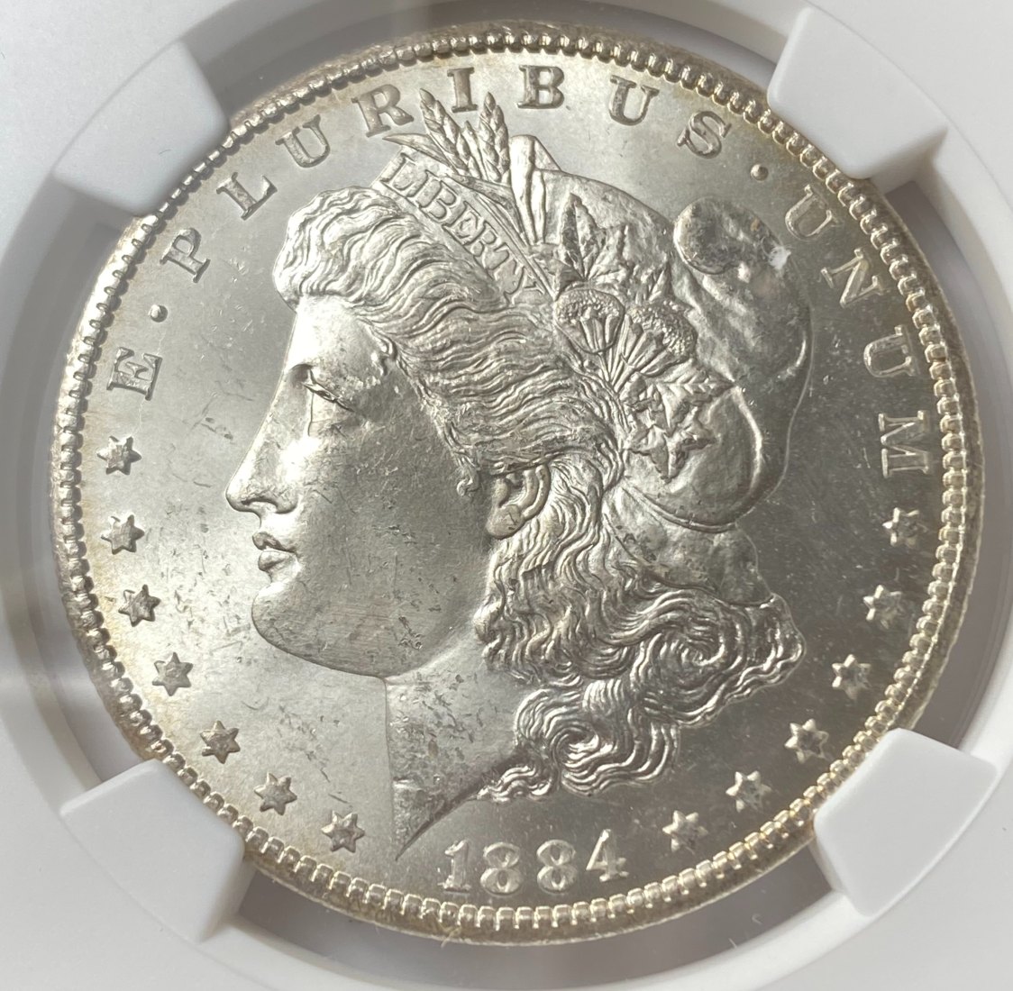1879-S-Morgan.-You-Vs.-NGC!