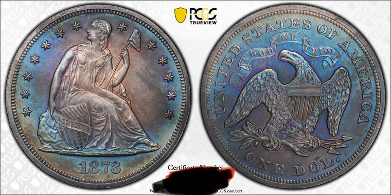 1873-Seated-Liberty-Dollar.-You-Vs.-PCGS!