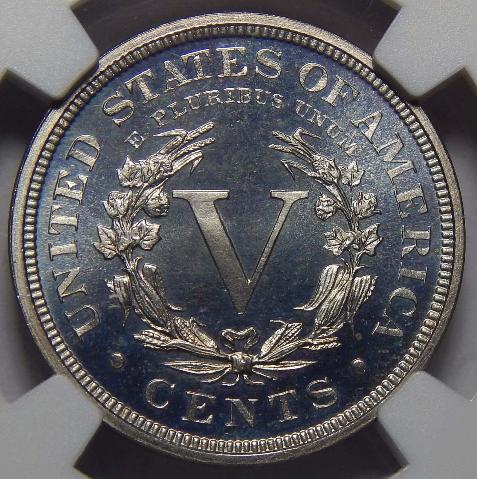 New-Addition,-1900-Liberty-V-Nickel.-You-Vs.-NGC!