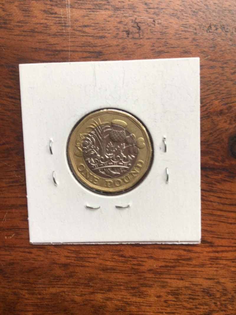 2016-1-Pound-Coin-Rare?