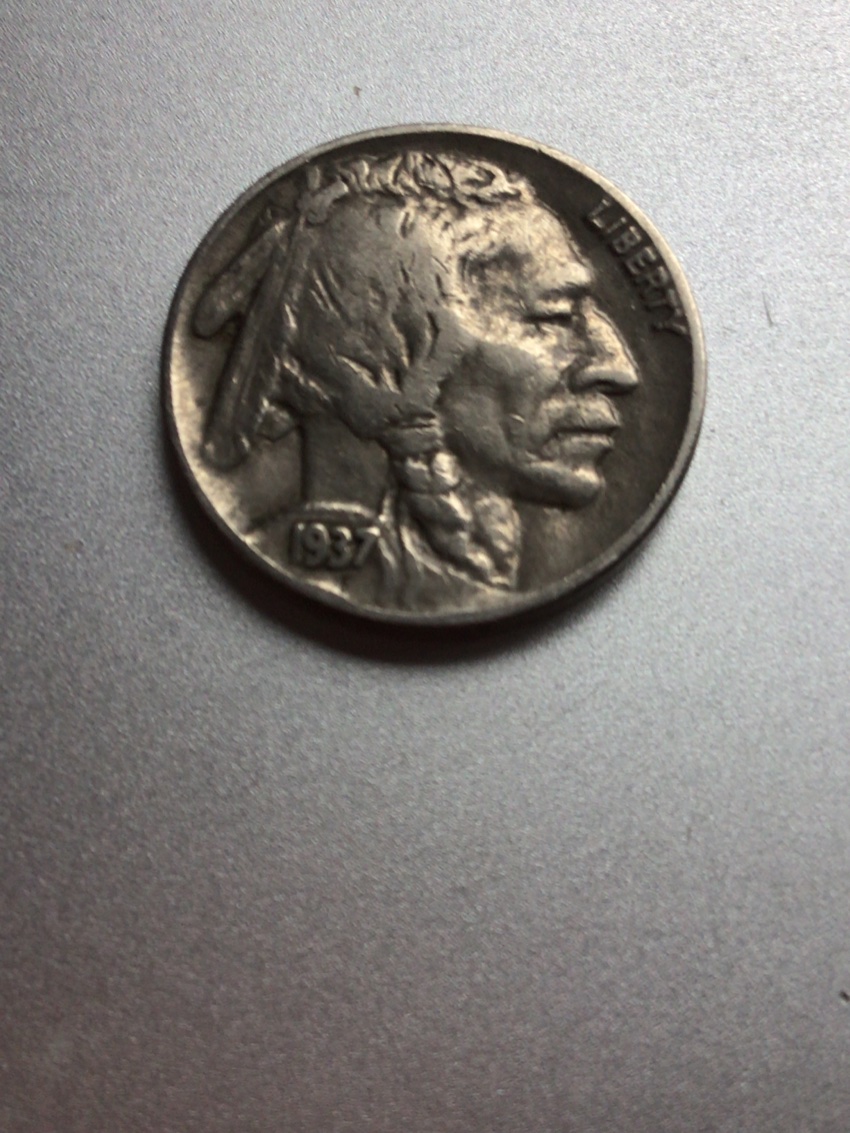 I-Have-Some-Buffalo-Nickels...