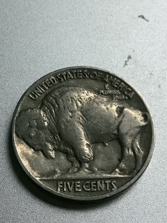 I-Have-Some-Buffalo-Nickels...