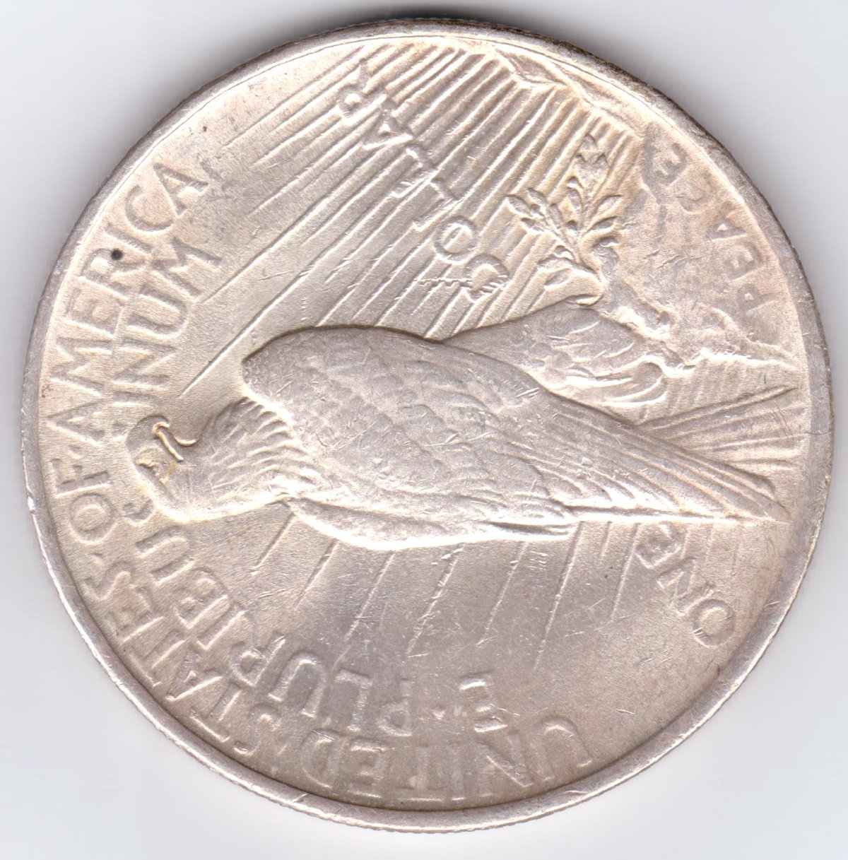 1922-Peace-Dollar-Is-This-A-Chip?