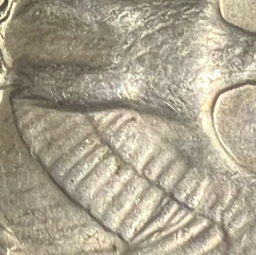 My-1964-Silver-Quarter-American