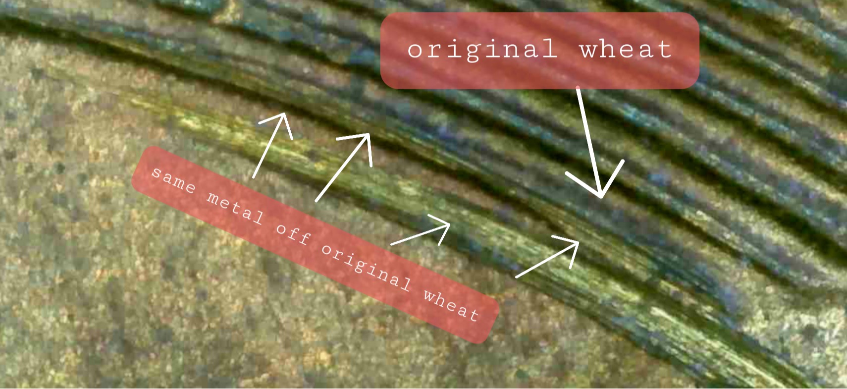 1945-DDR-Penny-Extra-Wheat-Stalks?