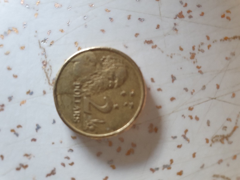 What-Mule-Is-A-Mule-Coin-These-Days