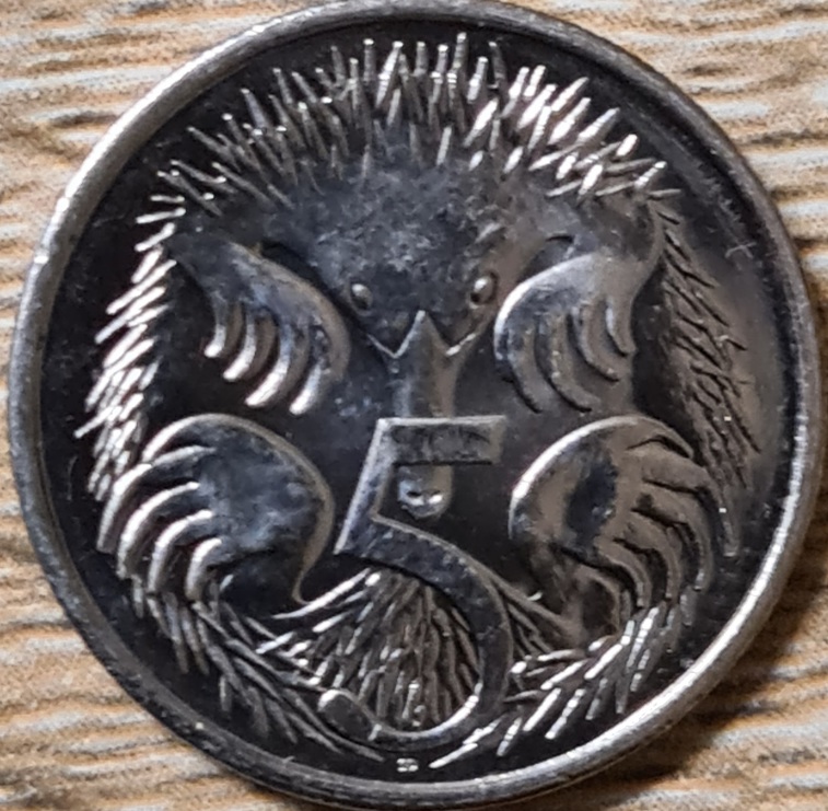 Which-Year-Australian-5-Cent-Is-The-Rarest-Hi,-Low--Small,-Large-Echidna