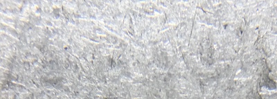 Worn-Victoria-25-Cents-Canadian---Year-Identification-Help