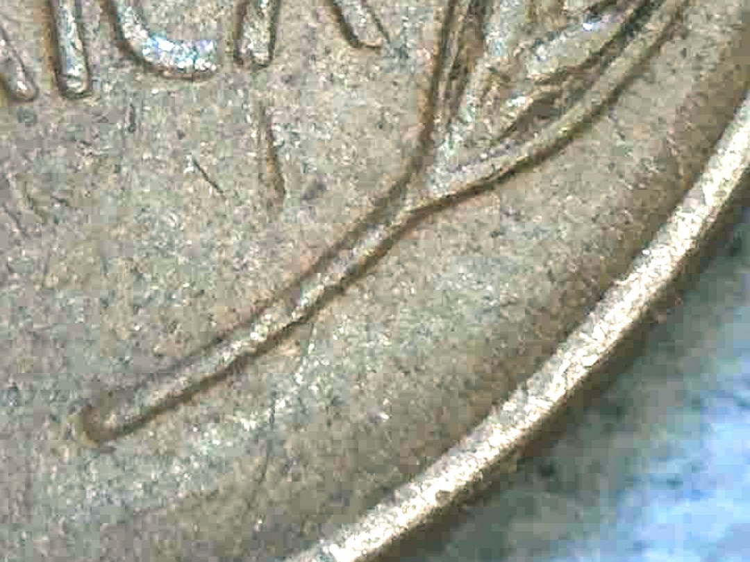 1939-LWC-DDR.-Seeking-Opinions.