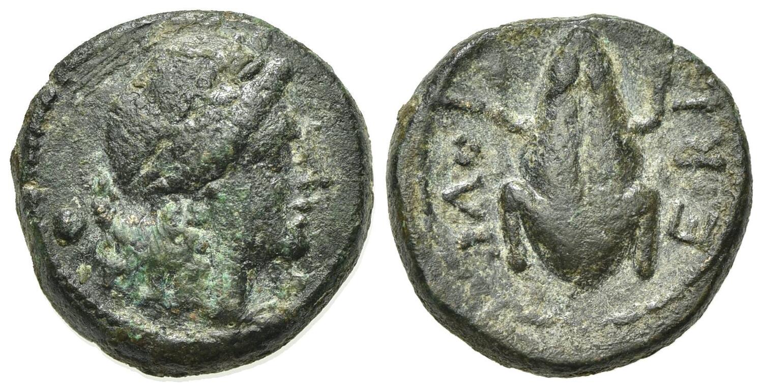 Frog-On-A-Greek-Coin-For-A-Froglover