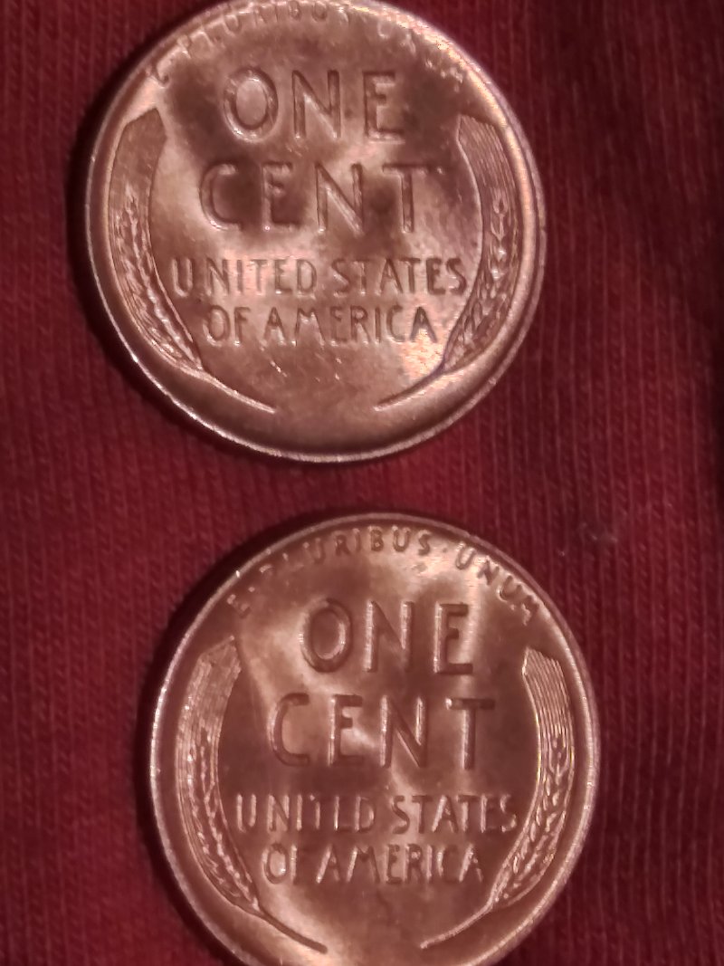 Are-These-Real-..?-1951-D-Wheat-Pennies