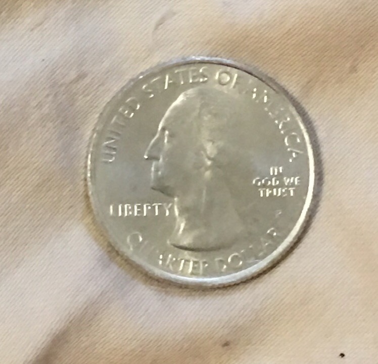 2010-Washington-Quarter