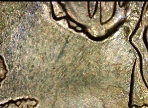 Marsh-Billings-Rockefeller-Quarter