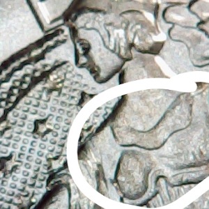 2020-American-Eagle-Silver-Dollar,-What-Do-I-Have