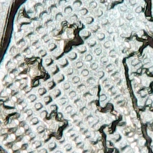 2020-American-Eagle-Silver-Dollar,-What-Do-I-Have