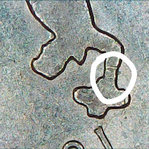 2007.-Wyoming-Quarter