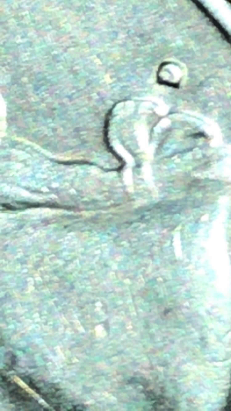Please-Help-With-This-Quarter