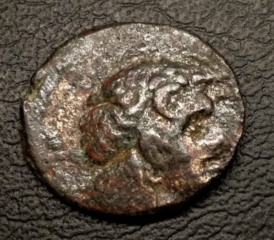 Ptolemy-II-Philadelphos?