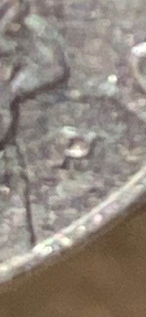 Are-These-Jefferson-Nickels-Errors?
