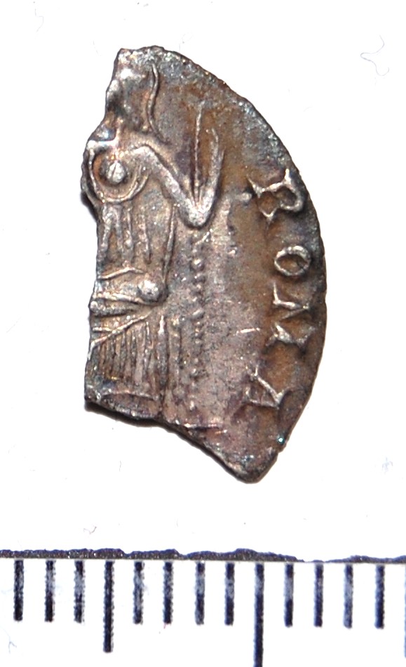 A-Very-Unfortunate-Siliqua