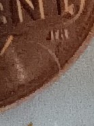 2021-D-Shield-Penny-Die-Cracks