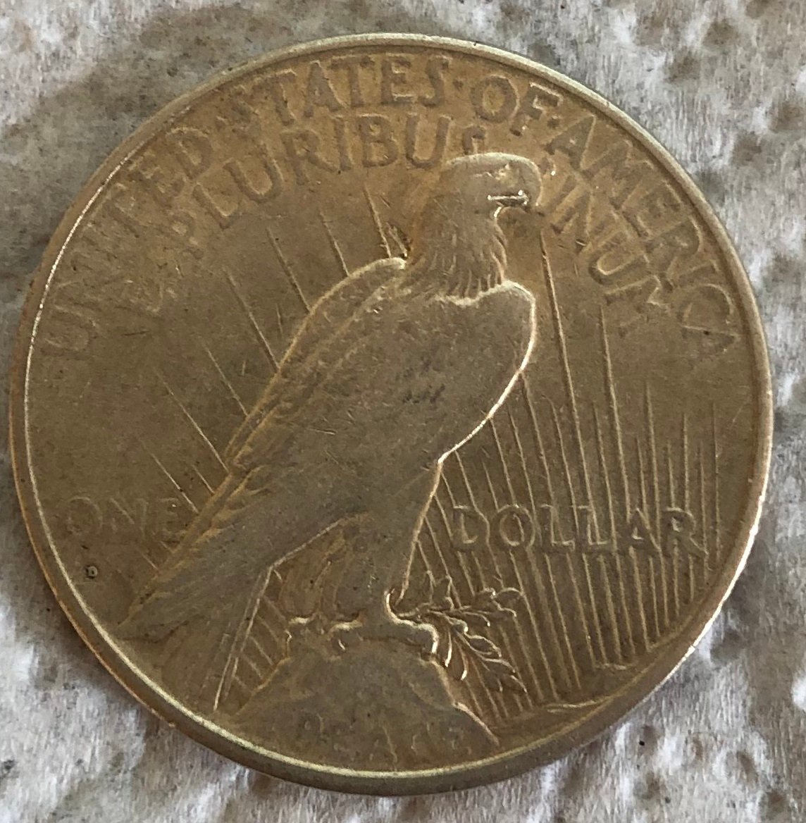 1934-D-Peace-Dollar-For-Grading