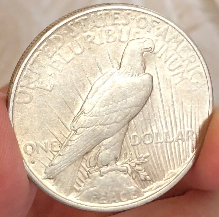 1934-D-Peace-Dollar-For-Grading