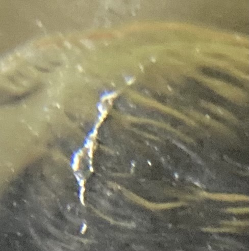 Potential-New-Die-Crack-Error-On-2021-P-Dime