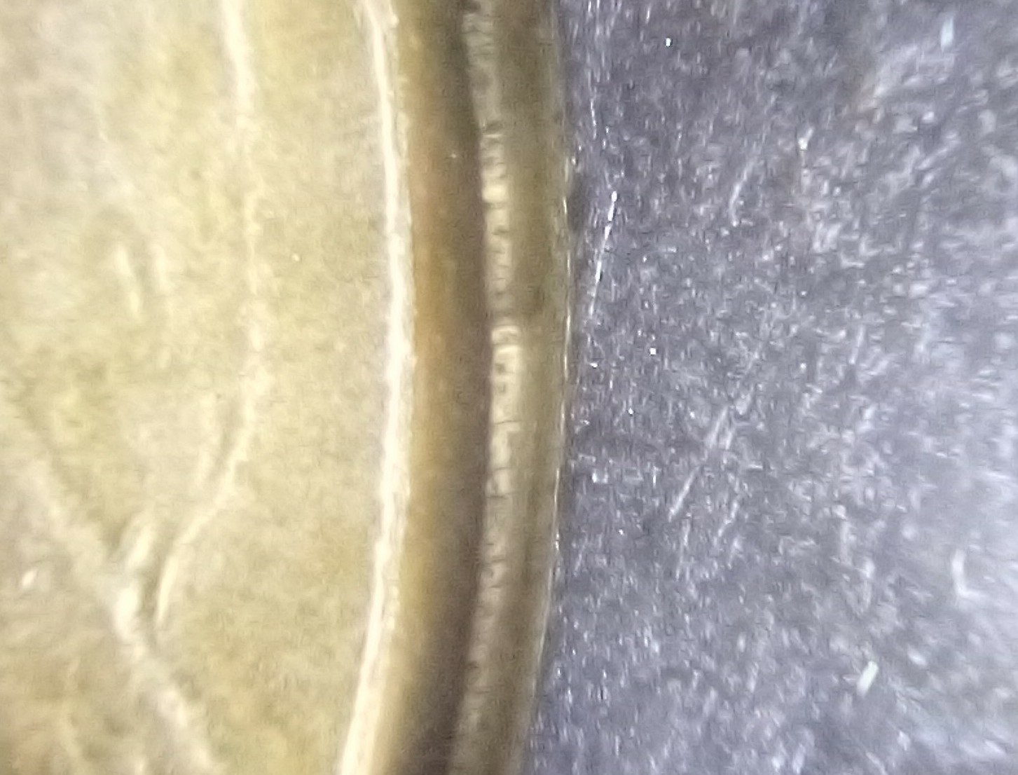 1988-L.500-Coin.-I-Have-No-Idea-What-This-Is,-Any-Thoughts?