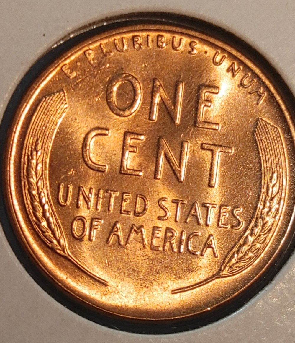 How-Would-You-Grade-This.1958-D-Wheat-Penny?