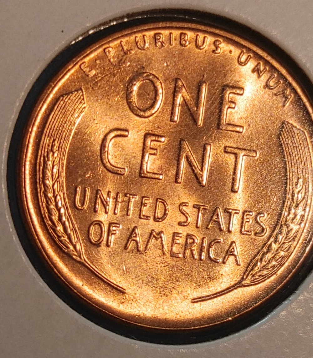 How-Would-You-Grade-This.1958-D-Wheat-Penny?