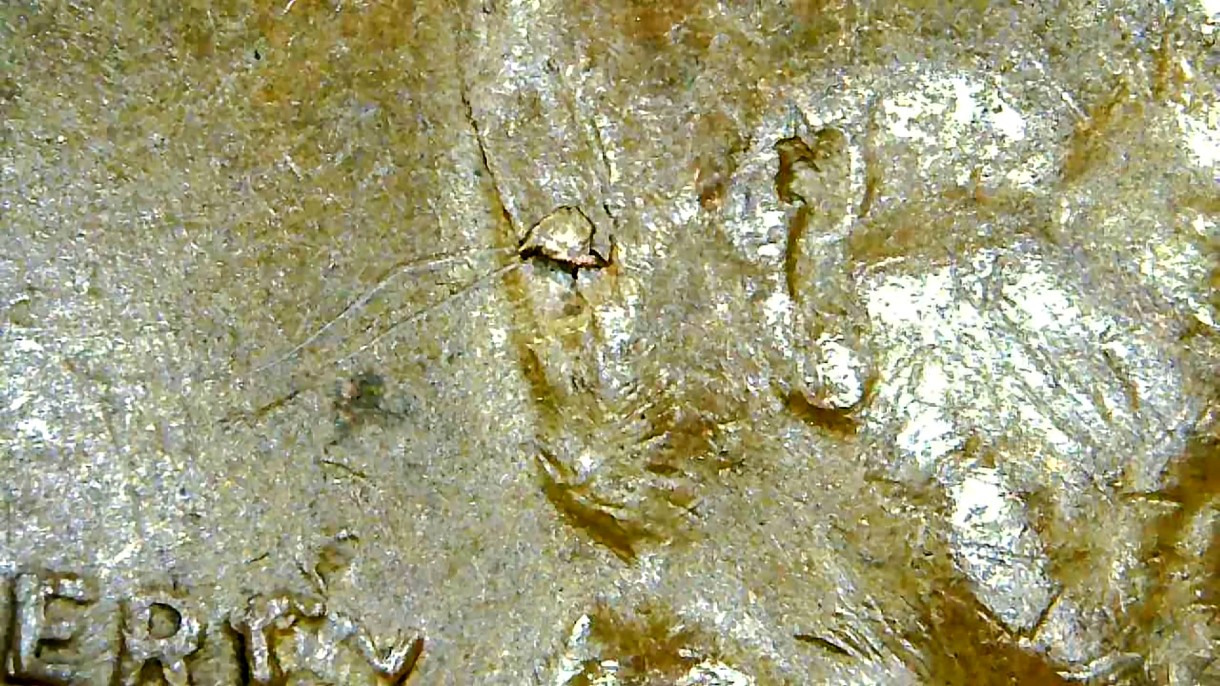 1946-S-Penny.-Cud-Error?-Debris?-Or-Just-Worn?
