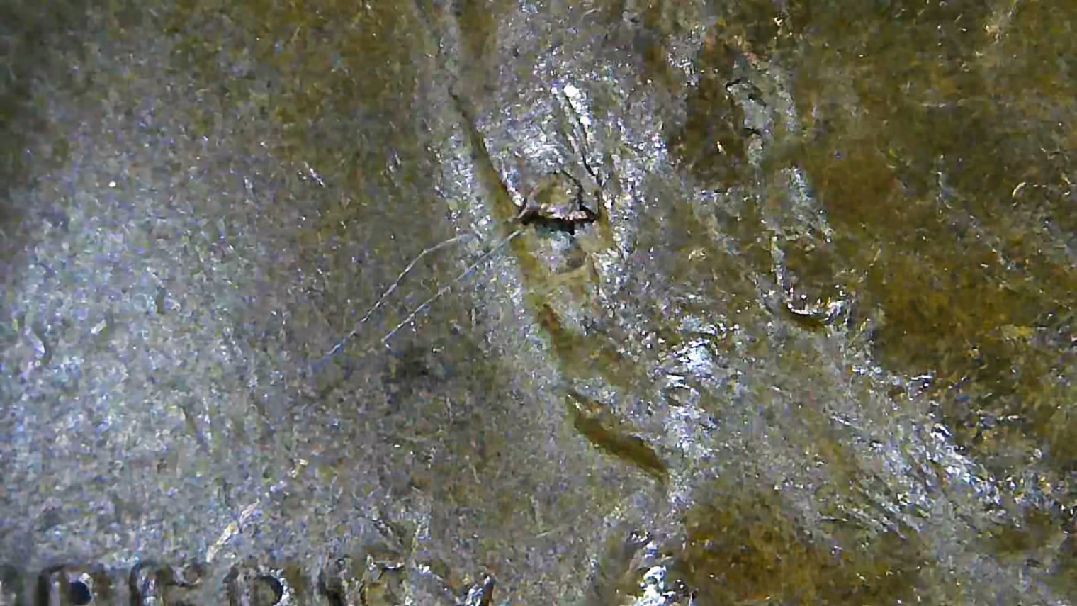 1946-S-Penny.-Cud-Error?-Debris?-Or-Just-Worn?