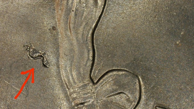 2021-Crossing-The-Delaware-Quarter-ErrorS?