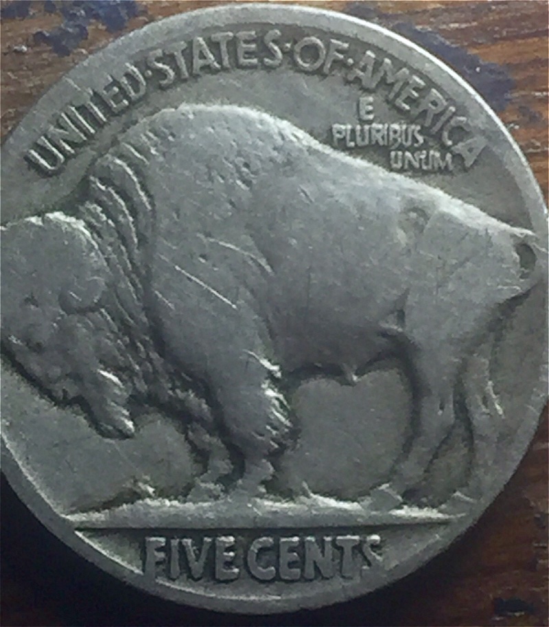 Found-Possible-1917-F-DDR-Buffalo-Nickel