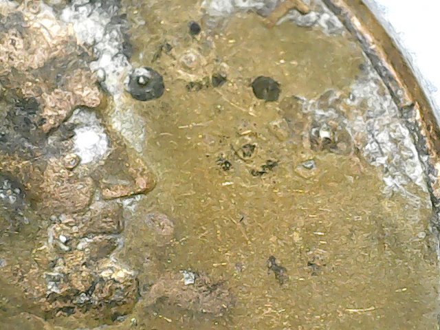 Mystery-Double-Image--1984-Lincoln-Penny
