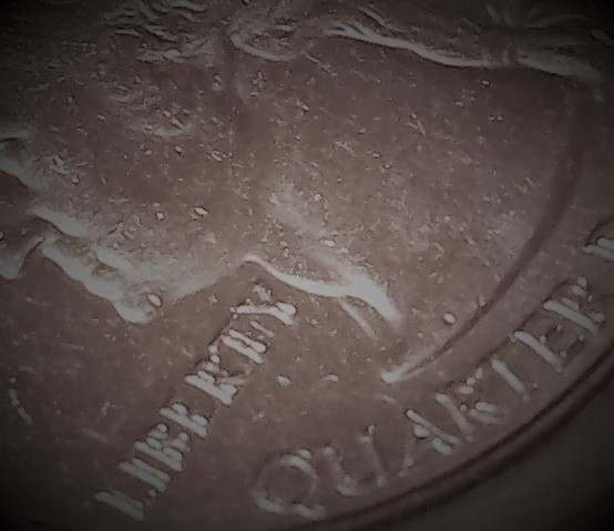 Need-Help-Identifying-Quarter