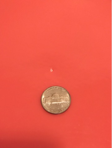 1961-Nickel,-Is-This-Raised-Dot-In-Window-A-Variety?