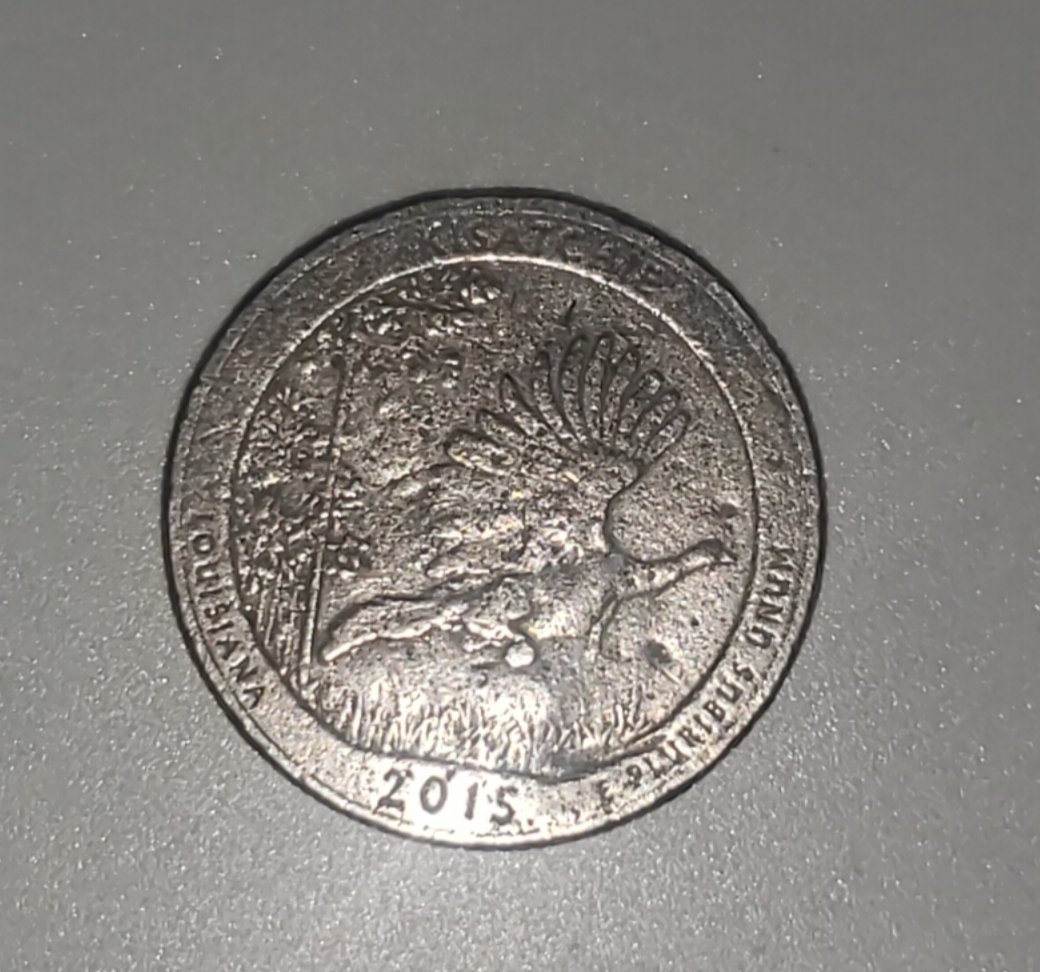 2015-Louisiana-25-Cent-Coin-Capped-Die?