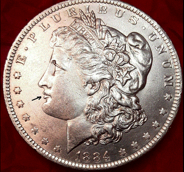 1884-New-Orleans-Morgan---High-Def-On-Lips---VAM?