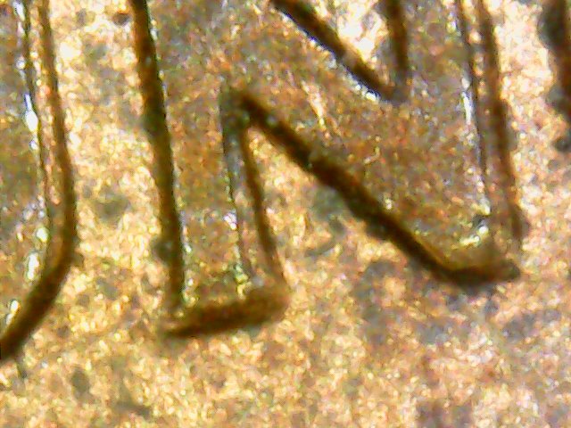2004-D-Lincoln-Cent-WDDR-1-Epu?