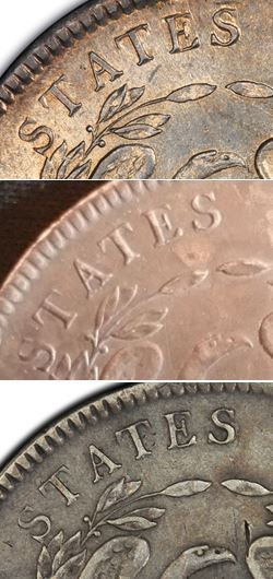 1795-$1-Flowing-Hair-Authenticity-Validation