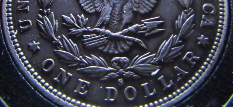 1886-S-Morgan-Dollar-Raw-Grade-Me-Please