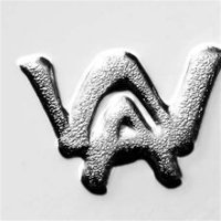 New-Gold-And-Silver-Eagle-Security-Feature