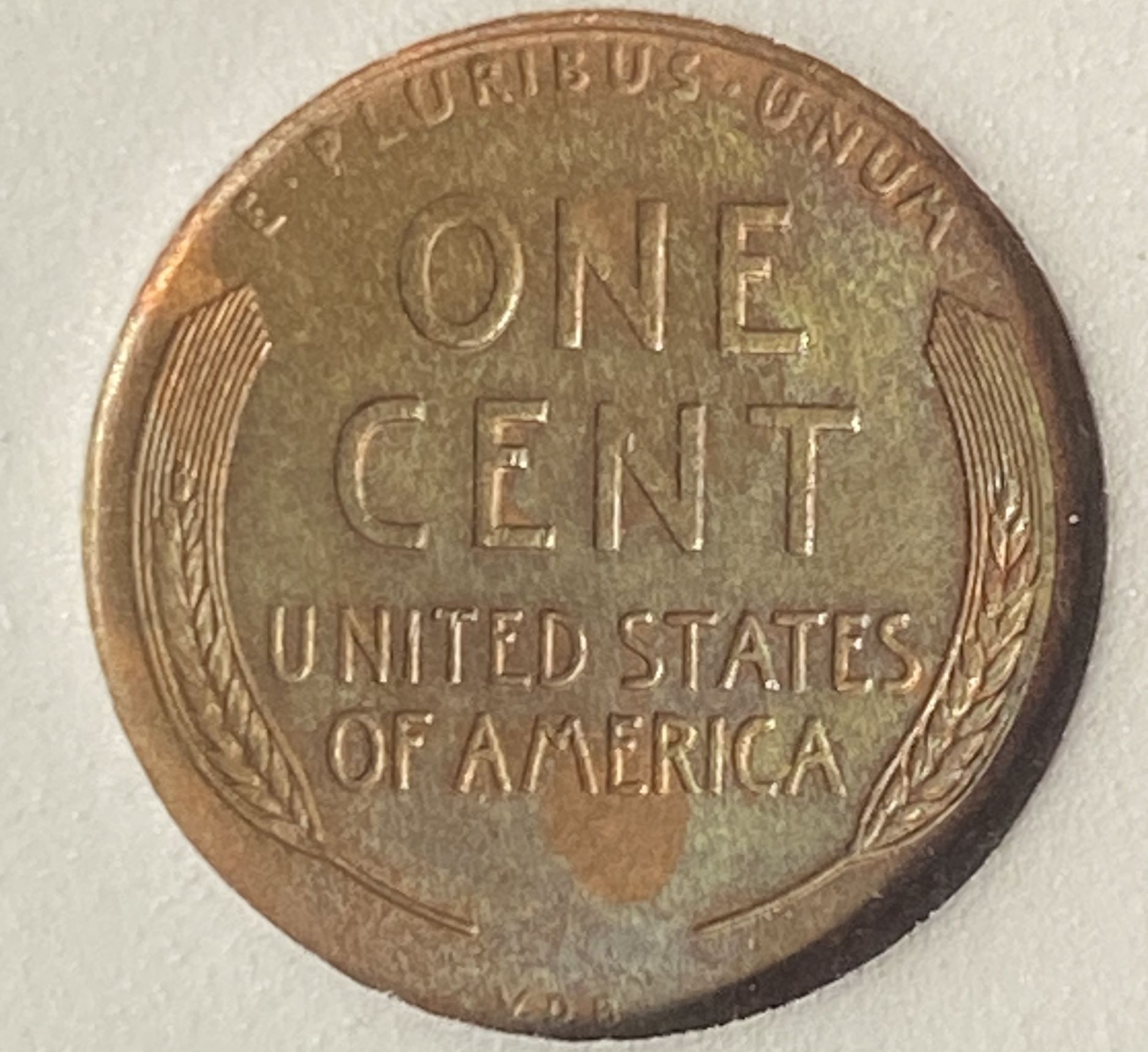 1909-VDB-Lincoln-Wheat-Cent-For-Grading