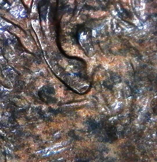 1999-D-LMC.is-This-DD-Ear-Lobe?have-Not-Seen-On-Other-1999-D-This-Mark?helps