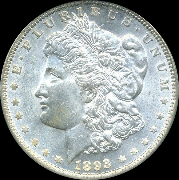 1893-Morgan-Dollar---Opinions-Please