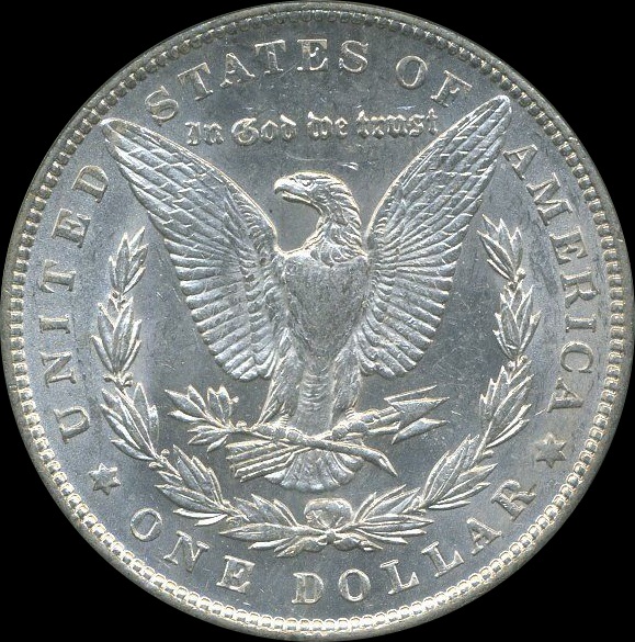 1893-Morgan-Dollar---Opinions-Please