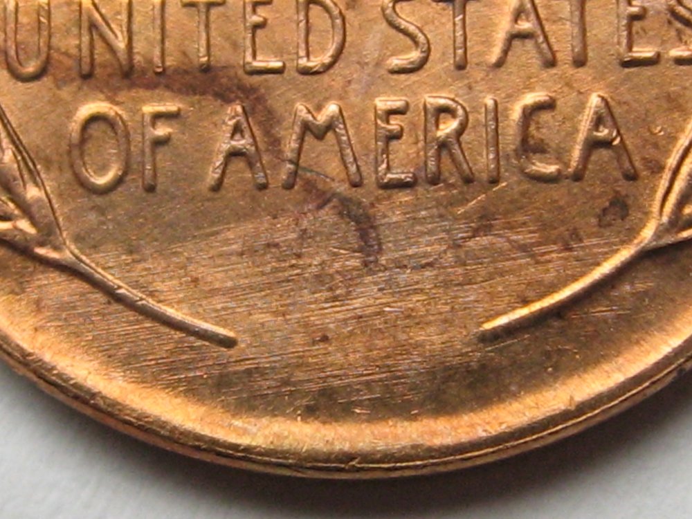 1954-Lincoln-Cent---Grade-It!